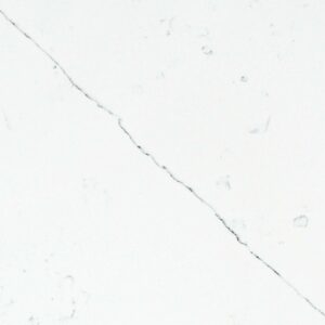 AR833 Calacatta Delicato Close Up