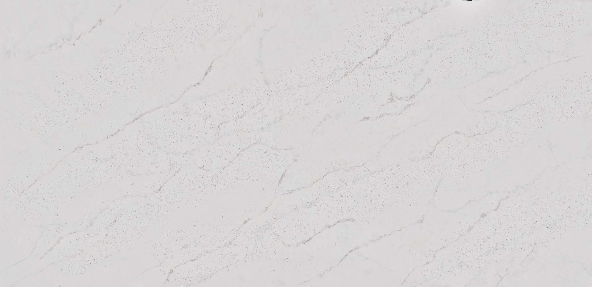 Eclectic Pearl Eclectic Pearl quartz Silestone Le Chic Collection