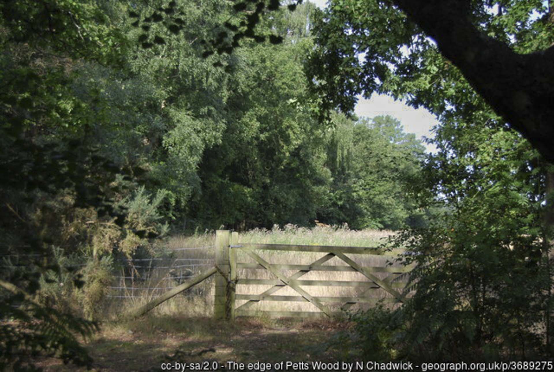 Quartz worktops petts wood kent geograph-3689275-by-N-Chadwick