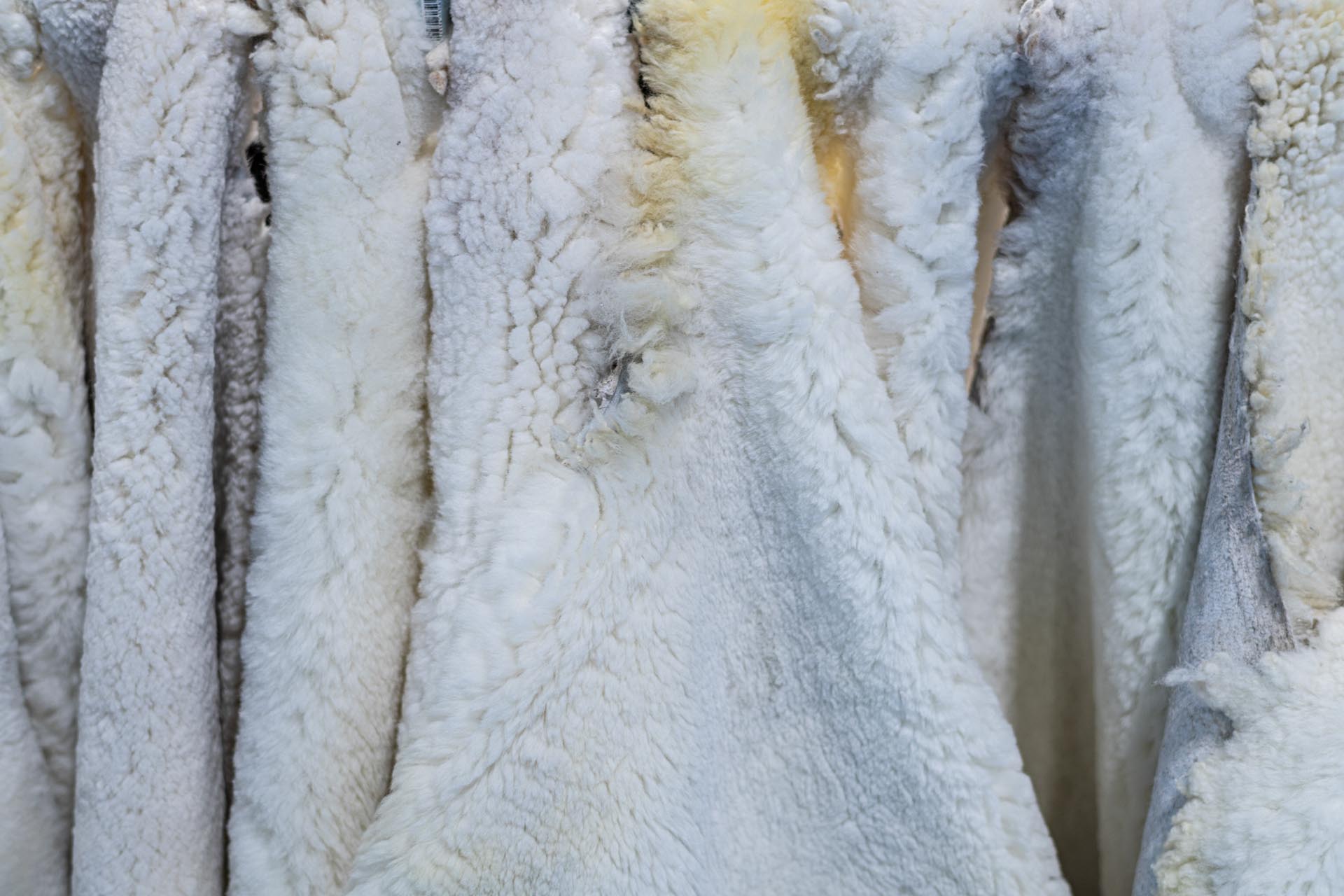 brazilian cowhides