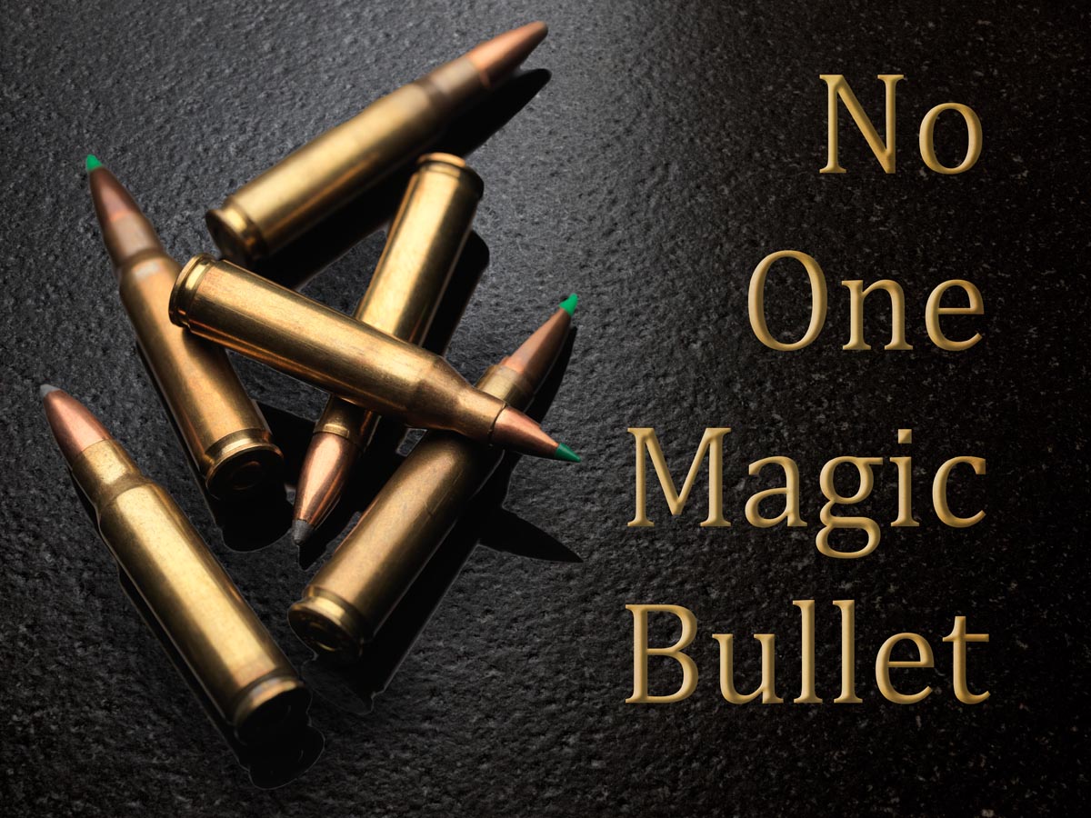 Magic-Bullet-2