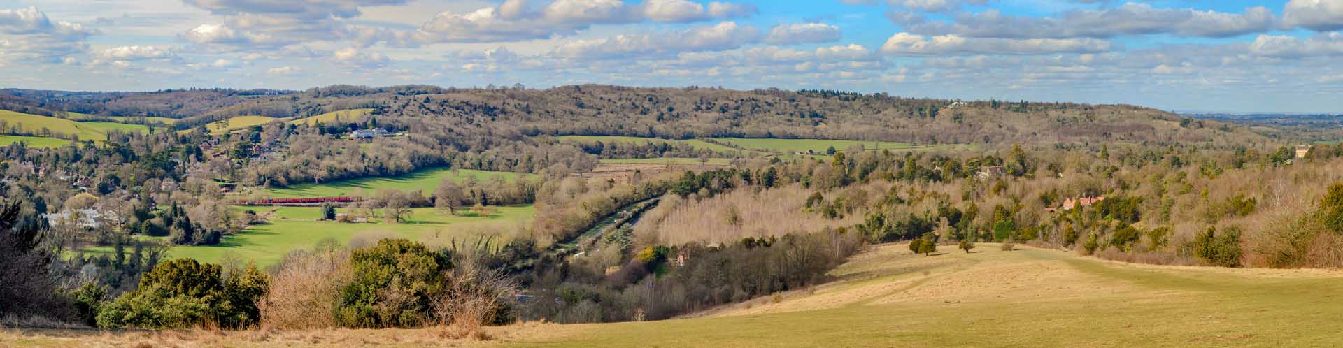 Box Hill view