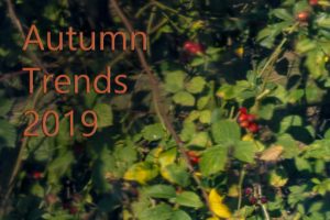 autumn trends 2019 kitchen worktops reflection black pearl granite rose hips red