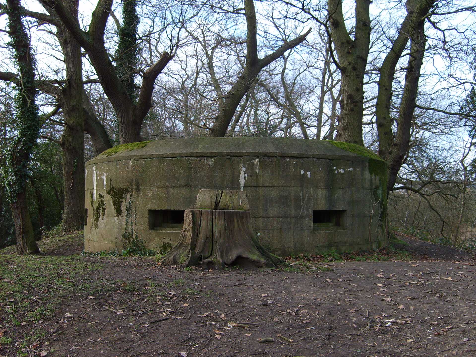 guildford quartz worktops Shalford_NT_World_War_II_pillbox_2
