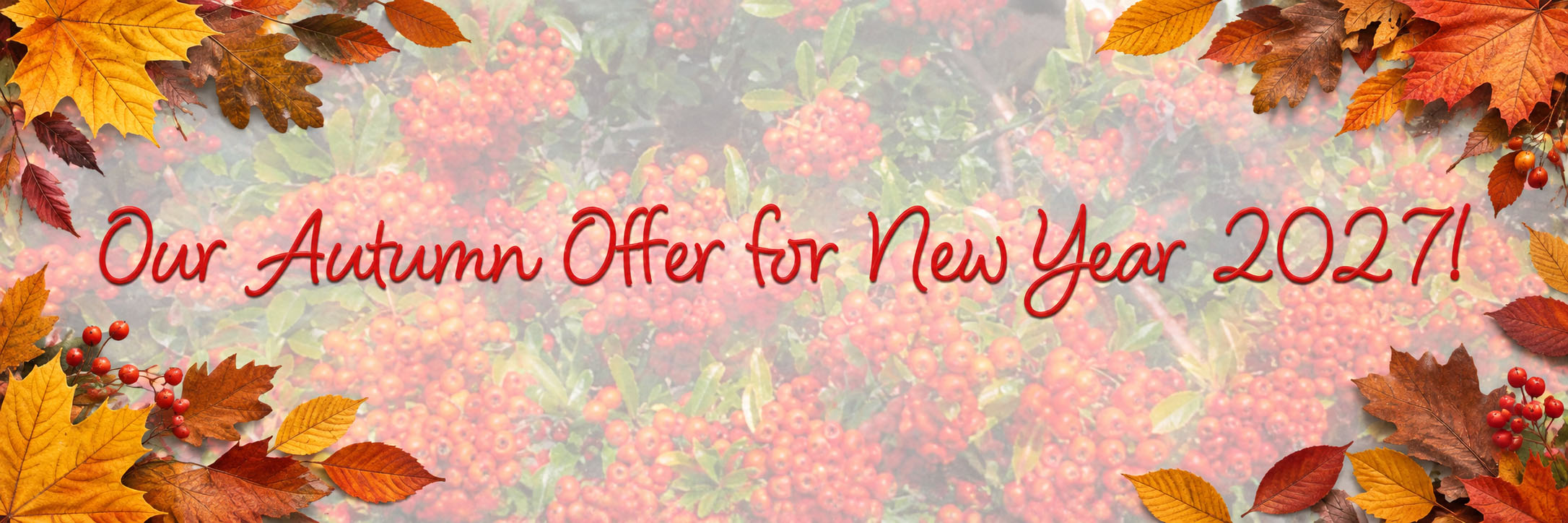 kitchen granite worktops offer autumn 2026 banner kitchen granite worktops offer autumn 2026 banner