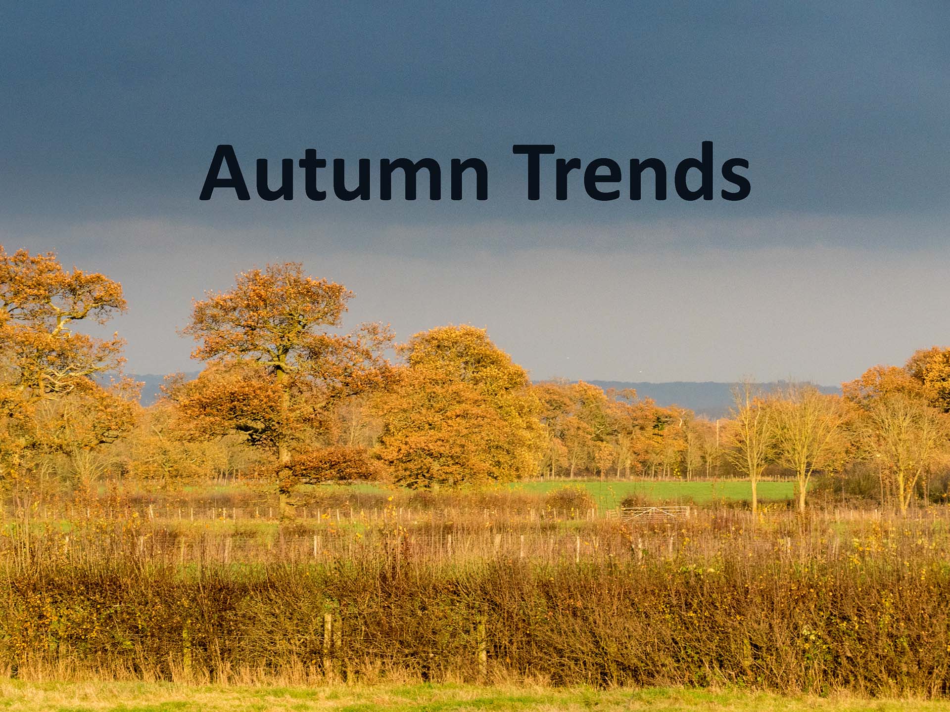 kitchen-worktops-granite-quartz-autumn-2017-044 kitchen-worktops-granite-quartz-autumn-2017-044