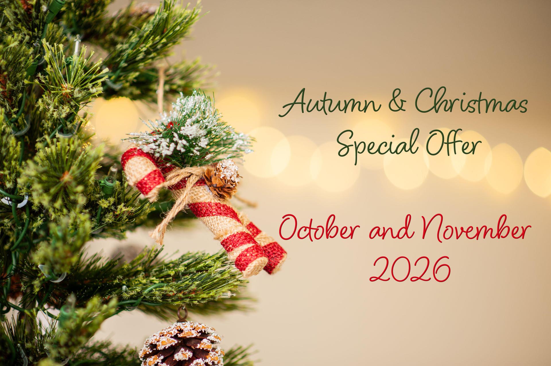 Autumn & Christmas Special Offer 2026 Granite worktops